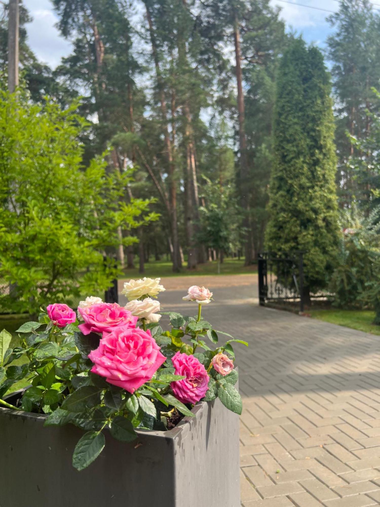 Kulautuva Park Apartments Екстер'єр фото