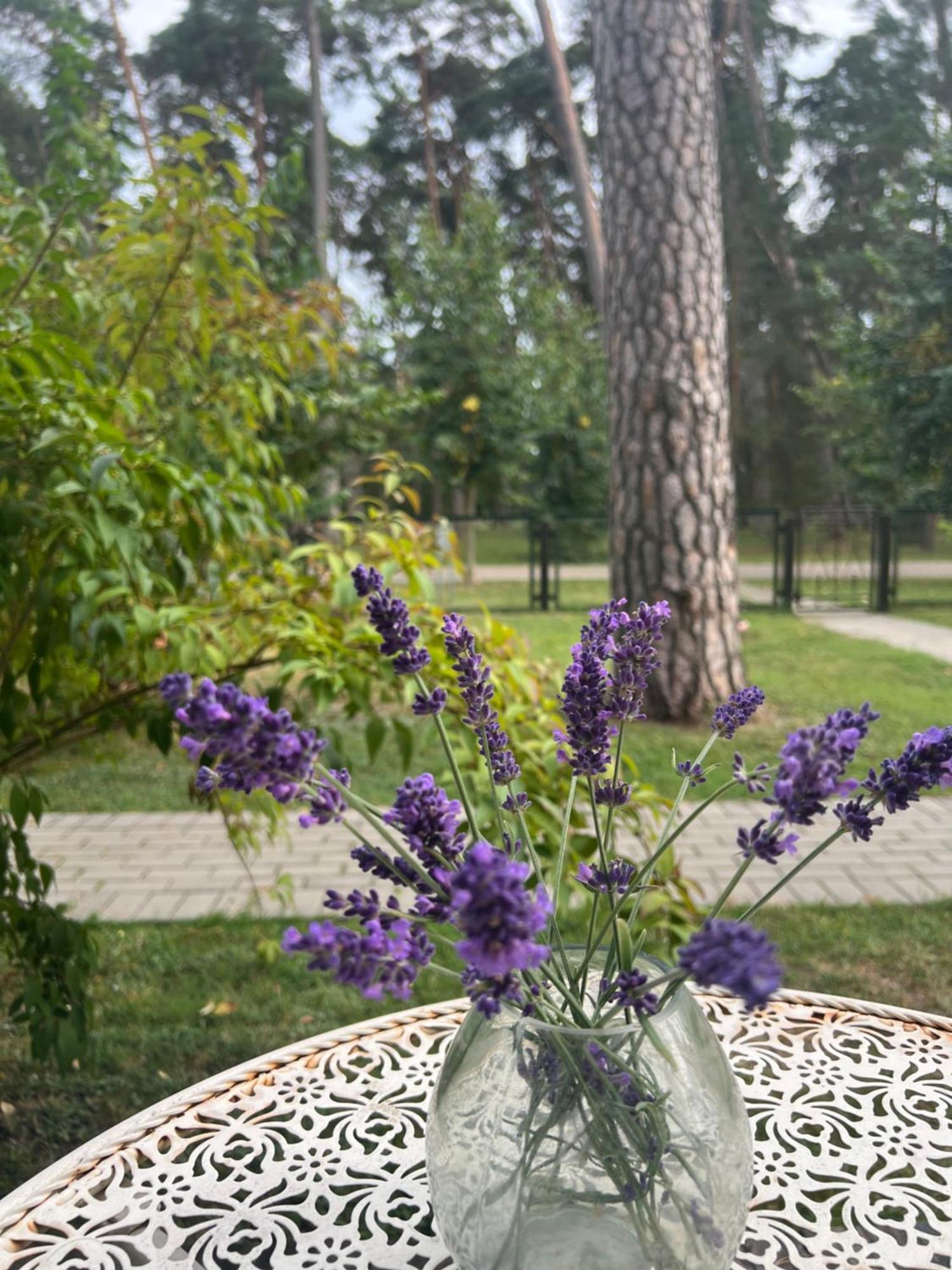 Kulautuva Park Apartments Екстер'єр фото